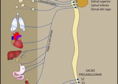 Diseño gráfico