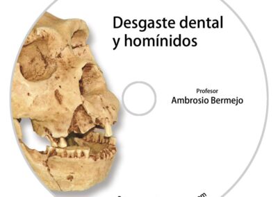 Diseño gráfico